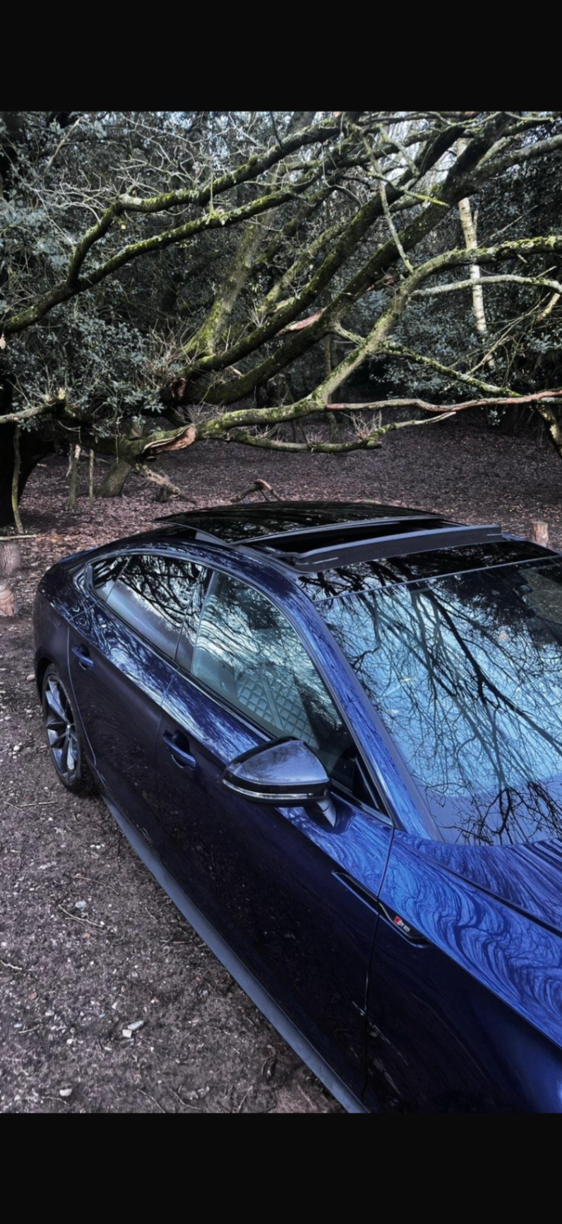 Audi S5 side profile and panoramic roof detail