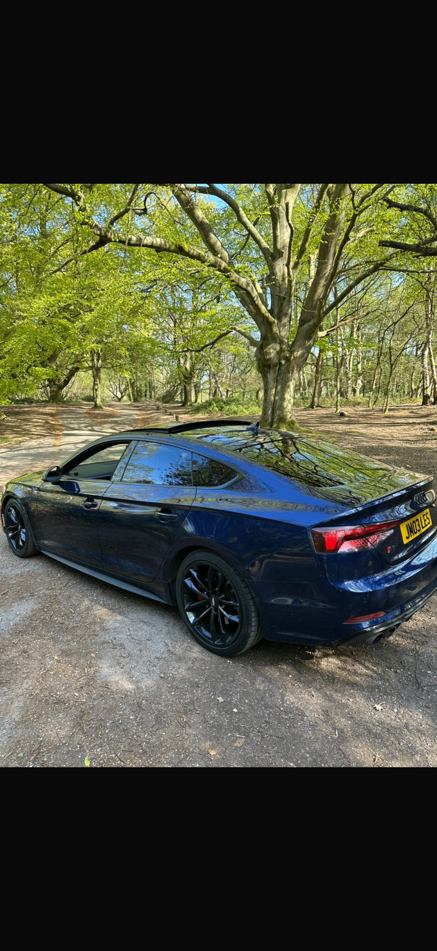Audi S5 rear three-quarter view parked in woodland