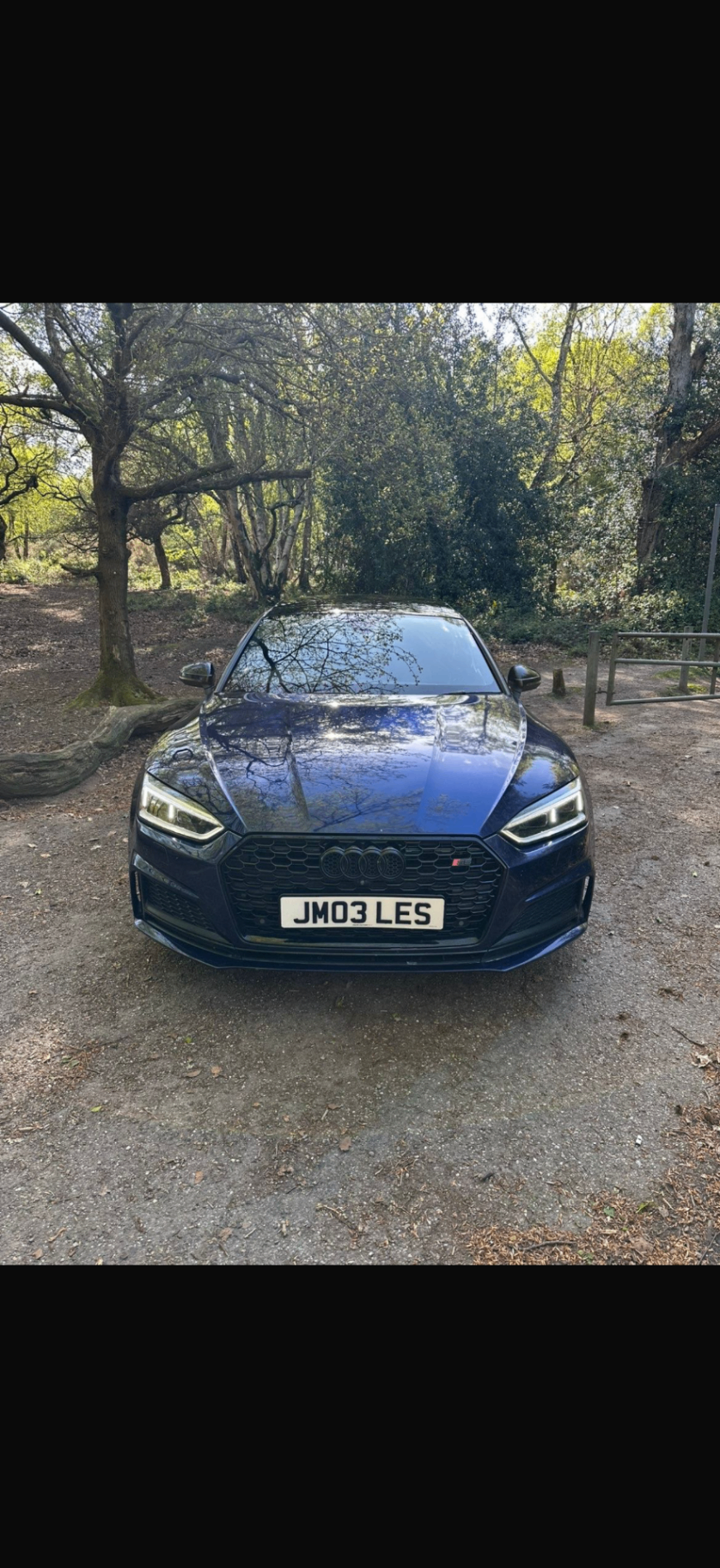 Audi S5 front view in a wooded setting