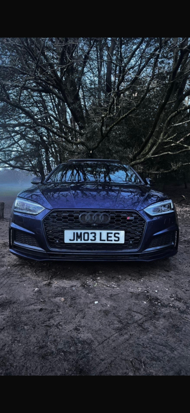 Audi S5 front view with dramatic forest backdrop